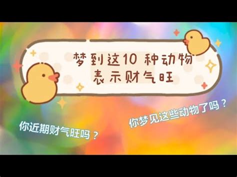 夢到幼鳥|夢到鳥的秘密：解讀鳥類夢境，預知未來！ 